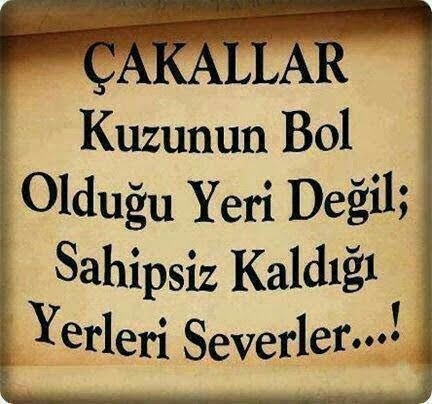 Cafer